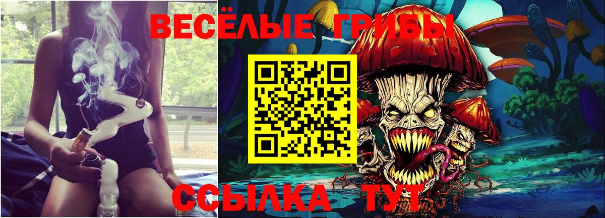 Псилоцибиновые грибы Psilocybine cubensis  Галлюциногенные грибы Psilocybe  Вход с VPN  Балашиха 